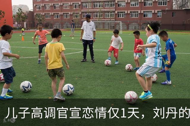 儿子高调官宣恋情仅1天，刘丹的态度表现，没给杨幂留一丝颜面