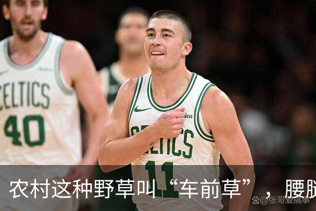 农村这种野草叫“车前草”，腰腿疼用它煮水喝有奇效，很多人不知道