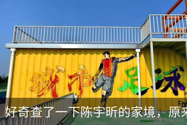 好奇查了一下陈宇昕的家境，原来他从小就在国外留学是有原因的