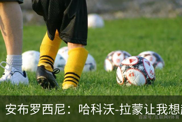 安布罗西尼：哈科沃-拉蒙让我想起了内斯塔