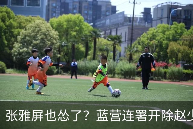 张雅屏也怂了？蓝营连署开除赵少康，张雅屏：联署人数不能替代事证