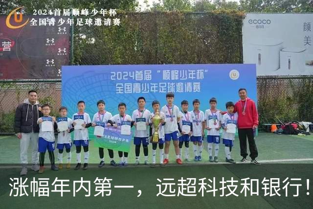 涨幅年内第一，远超科技和银行！这个传统板块，为什么这么强？