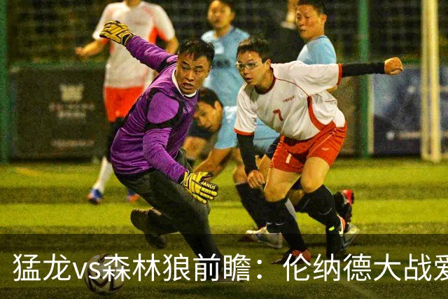 猛龙vs森林狼前瞻：伦纳德大战爱德华兹，一场不同风格的强硬对决