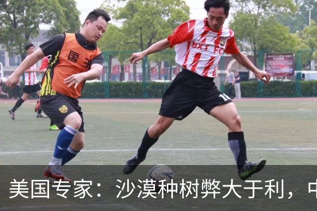 美国专家：沙漠种树弊大于利，中国不懂危害竟还敢自称环保大国