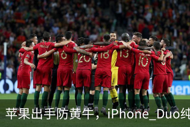 苹果出手防黄牛，iPhone Duo纯eSIM 劝退主力机用户