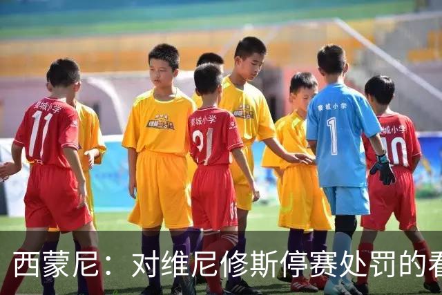 西蒙尼：对维尼修斯停赛处罚的看法？西班牙人