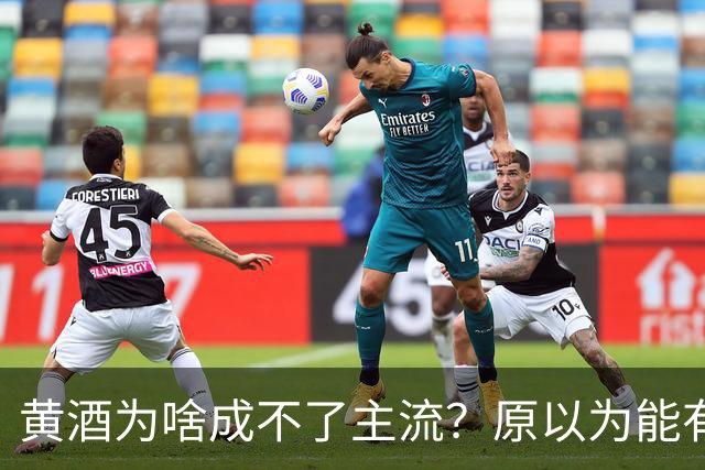 黄酒为啥成不了主流？原以为能有共鸣，谁料评论一边倒