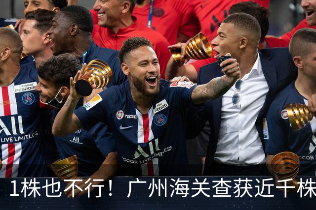 1株也不行！广州海关查获近千株盆栽，有625盆竟是“国宝级”植物