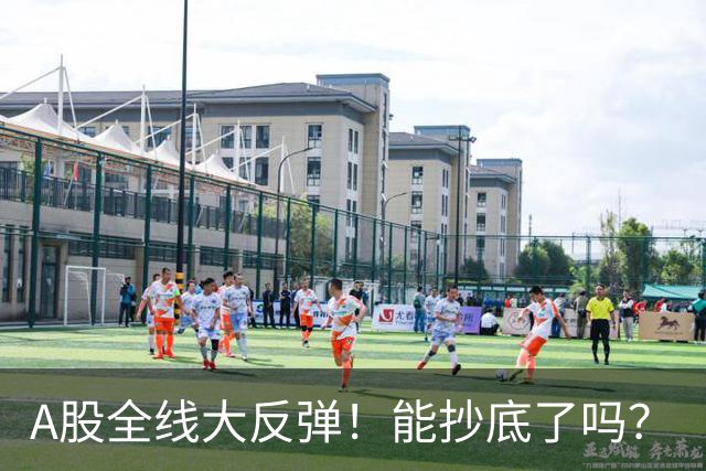 A股全线大反弹！能抄底了吗？