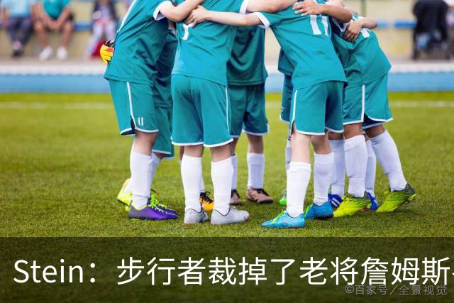 Stein：步行者裁掉了老将詹姆斯-约翰逊